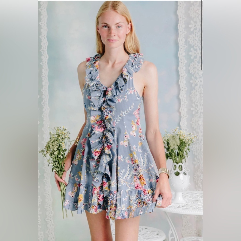 NWT Anthropologie Love the Label Bowie Ruffle Mini Dress